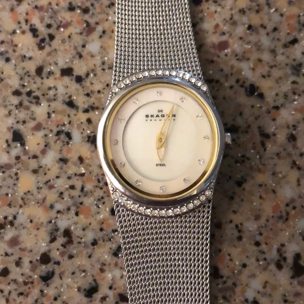 Skagen Steel Watch